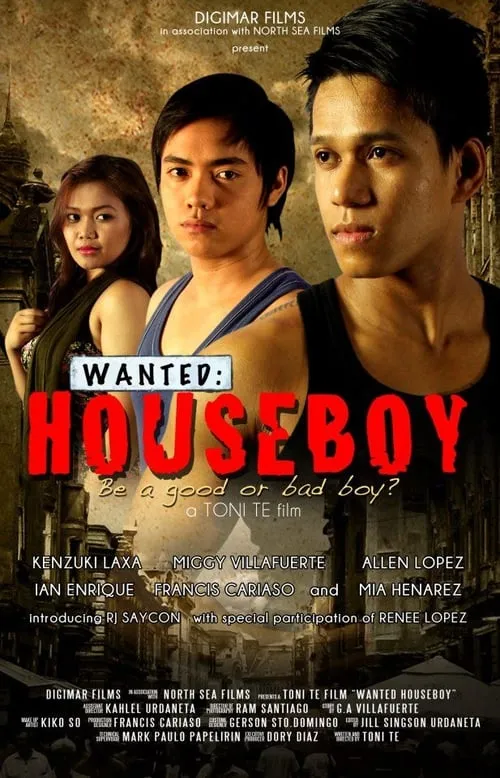 Wanted: Houseboy (movie)