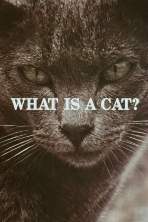 What Is a Cat? (movie)