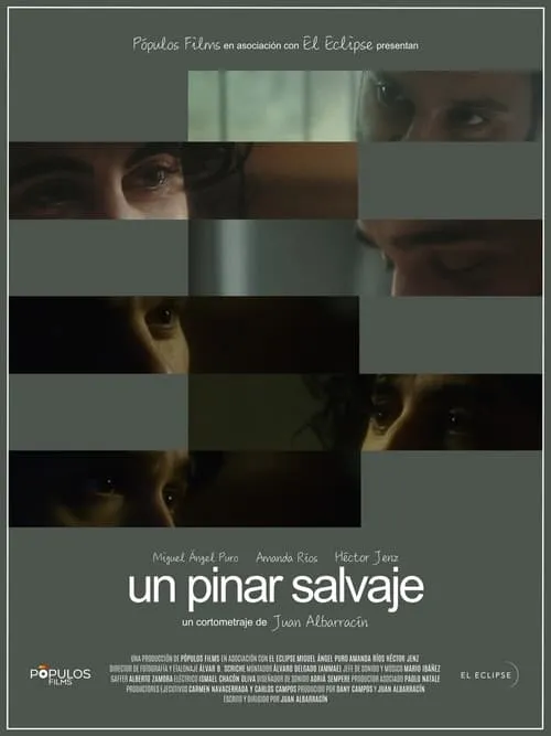 Un pinar salvaje (movie)