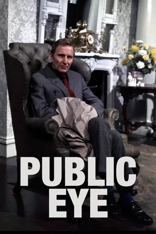 Public Eye (сериал)