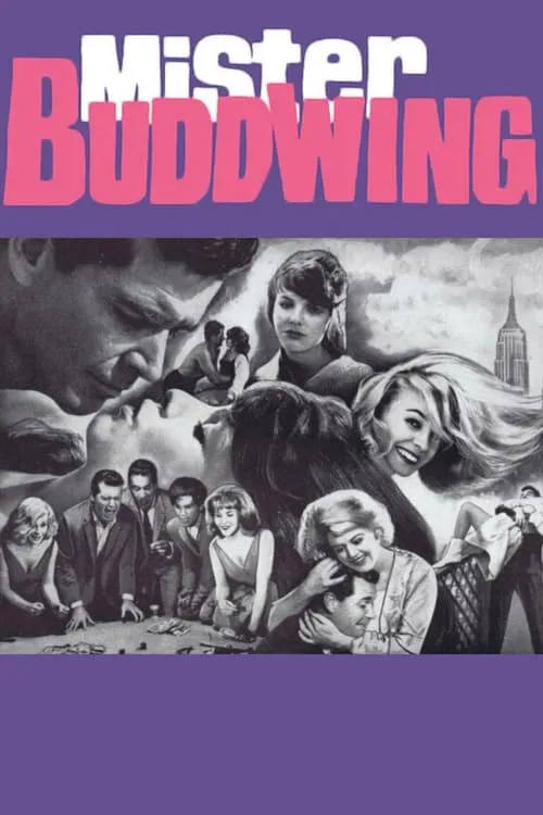 Mister Buddwing (movie)