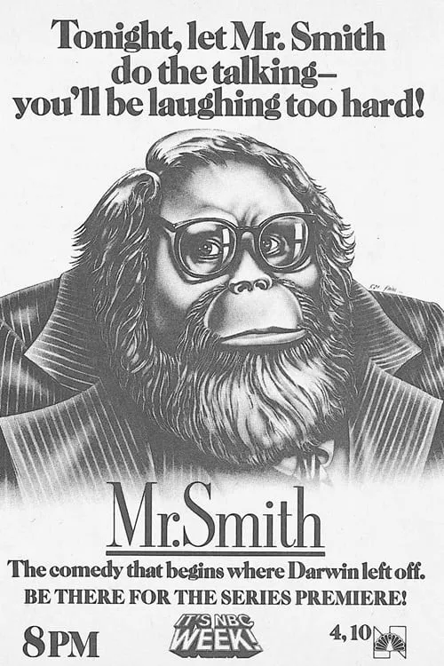 Mr. Smith (series)