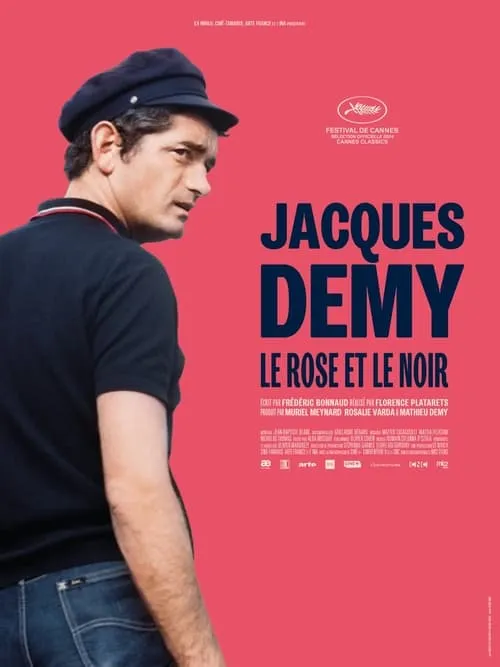 Jacques Demy, le rose et le noir (фильм)