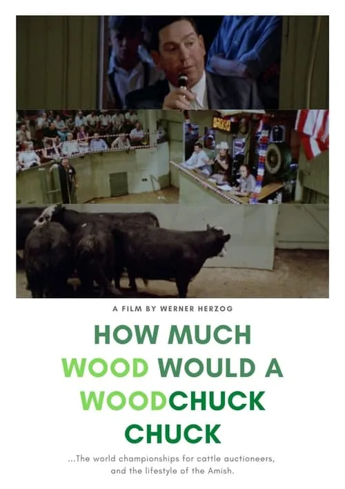 How Much Wood Would a Woodchuck Chuck: Beobachtungen zu einer neuen Sprache (фильм)