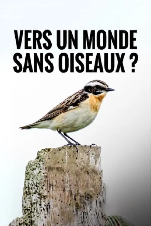 Vers un Monde Sans Oiseaux (фильм)