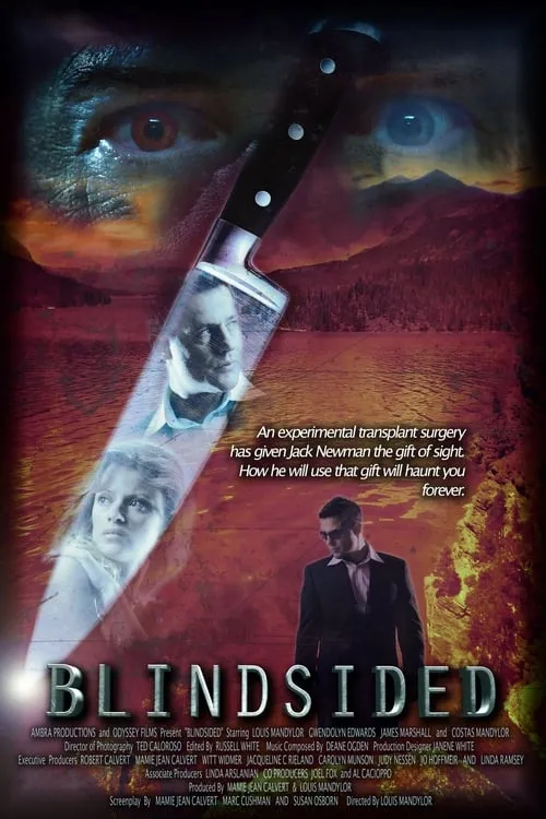 Blindsided (movie)