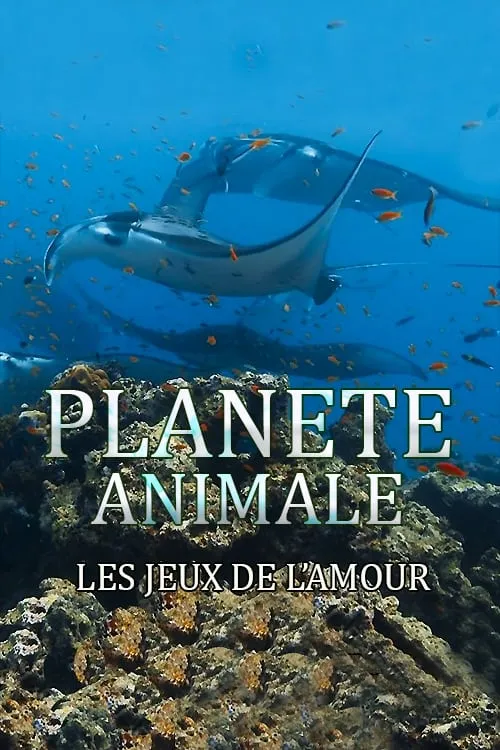 Planète Animale : Les jeux de l'amour (фильм)