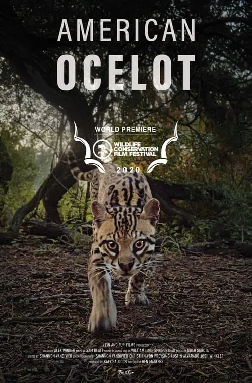 American Ocelot (movie)