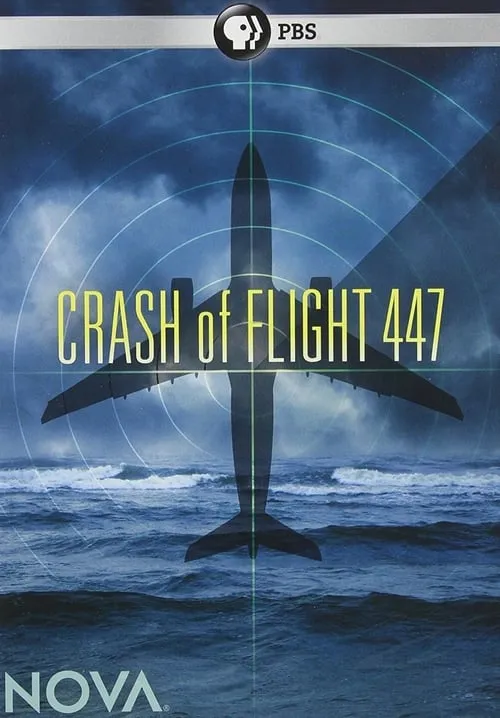 Crash of Flight 447 (movie)