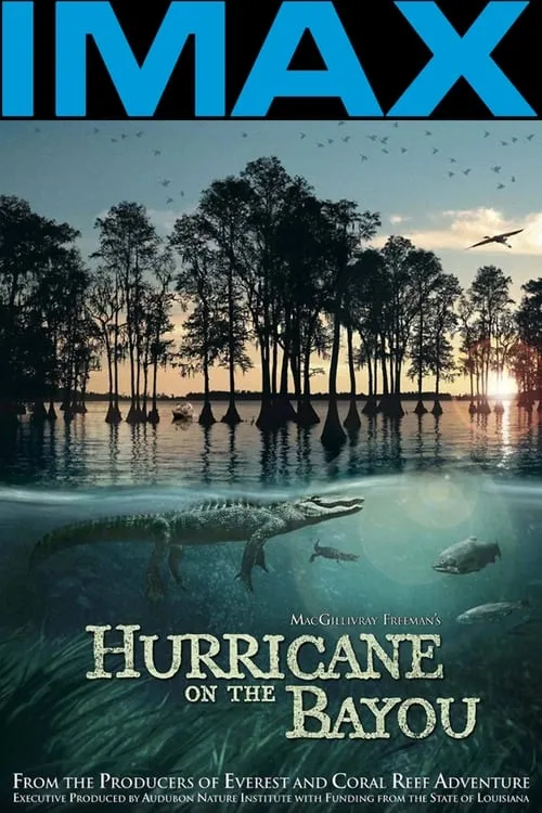 Hurricane on the Bayou (movie)