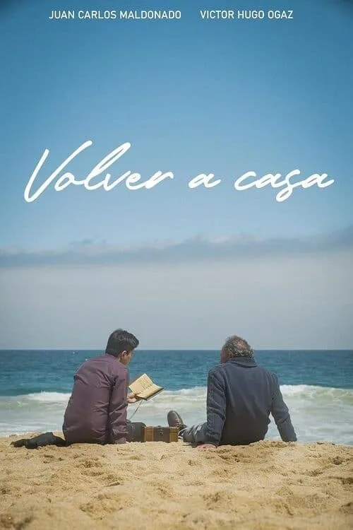 Volver a casa (movie)