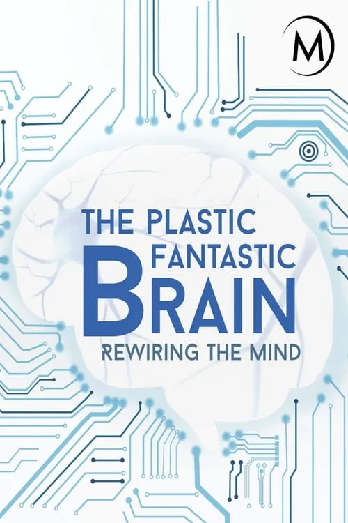 Plastic Fantastic Brain (series)