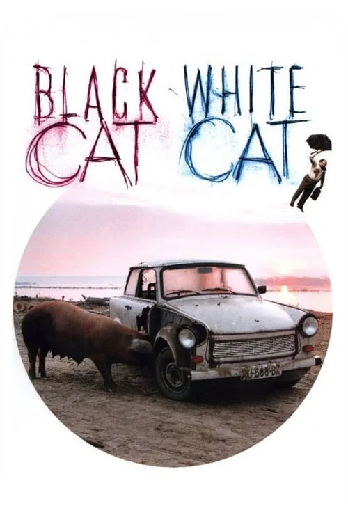 Black Cat, White Cat (movie)
