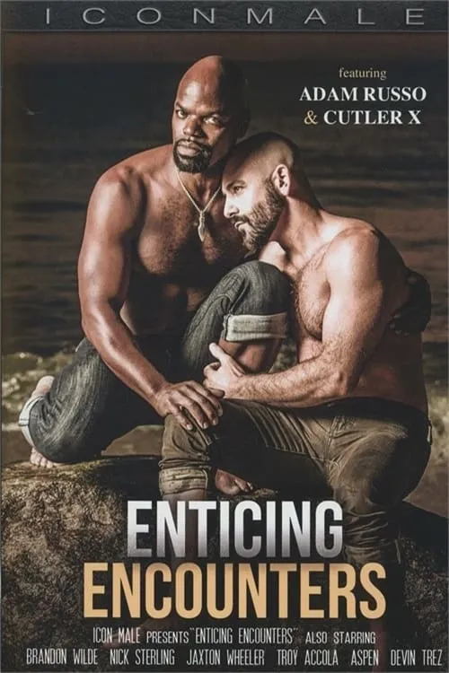 Enticing Encounters