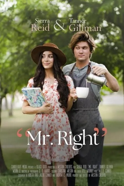 Mr. Right (movie)