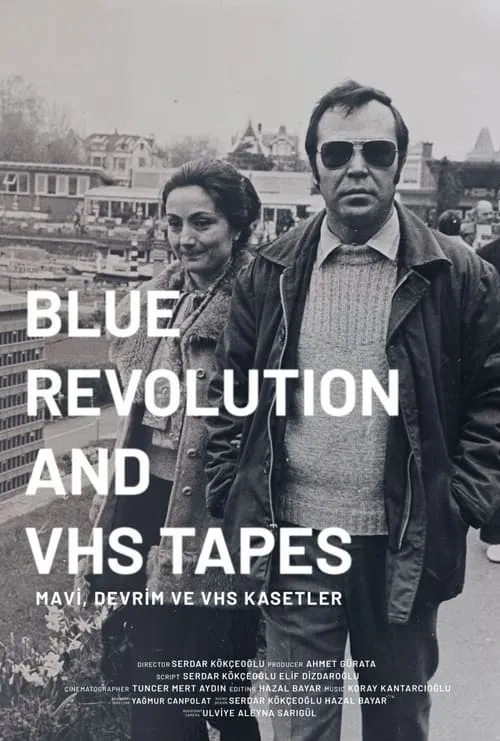 Mavi, Devrim ve VHS Kasetler