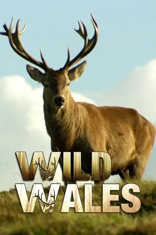 Wild Wales (сериал)