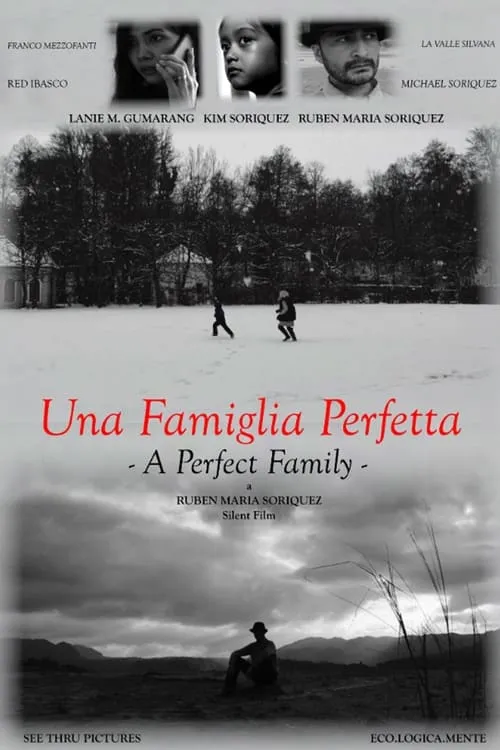 A Perfect Family (movie)