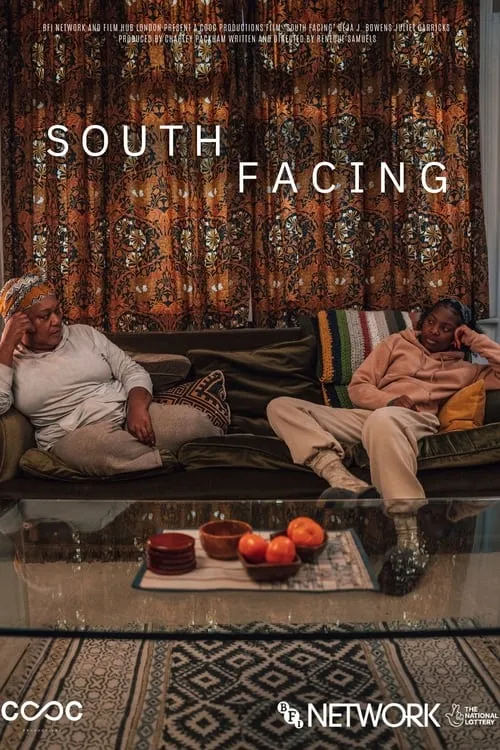 South Facing (movie)