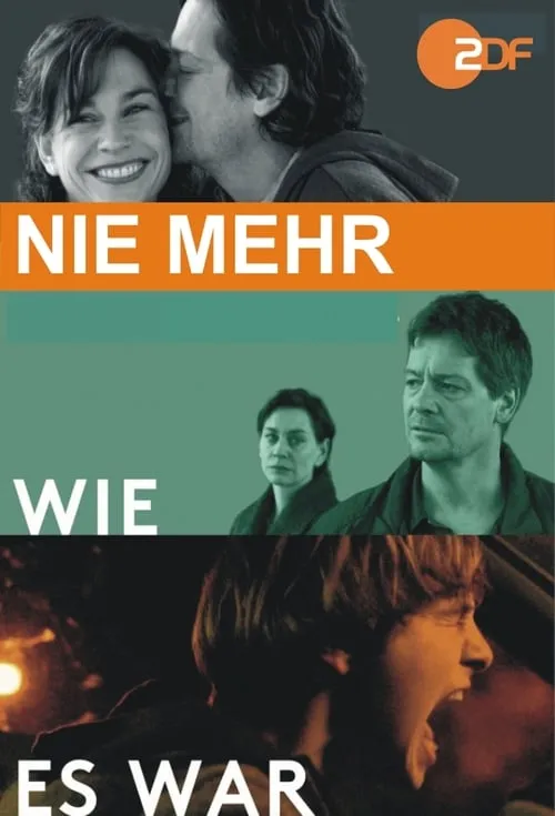 Nie mehr wie es war (фильм)