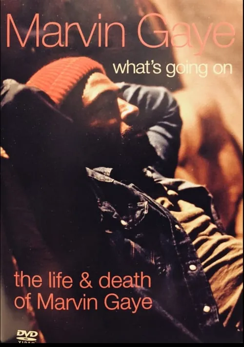 What's Going On: The Life and Death of Marvin Gaye (movie)