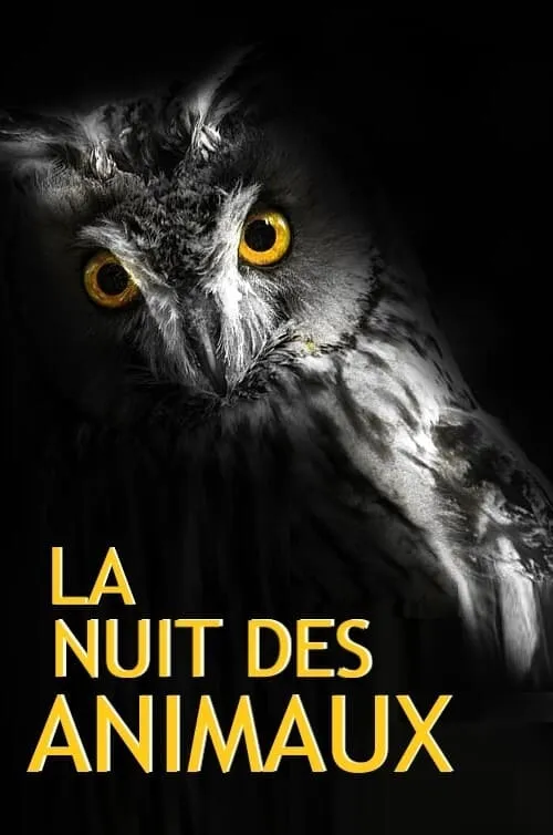 La Nuit des Animaux (movie)