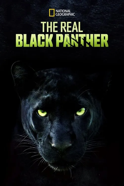 The Real Black Panther (movie)
