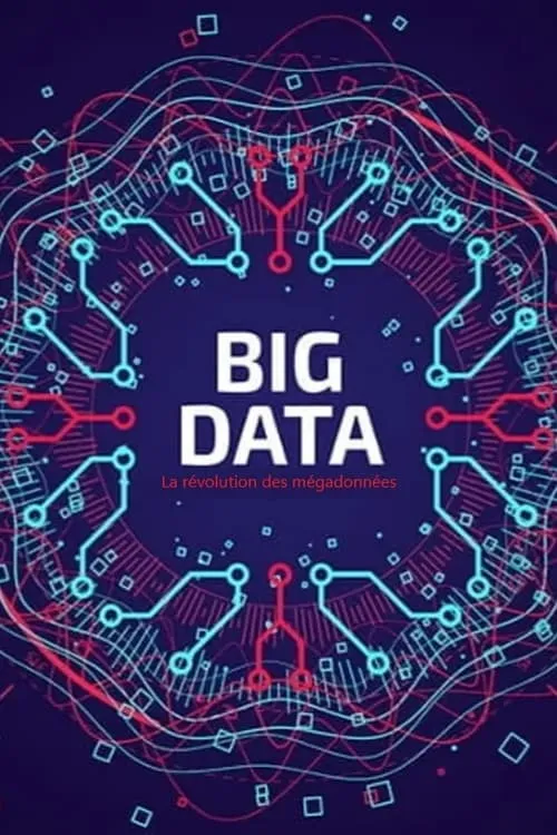 Big Data - La révolution des mégadonnées (фильм)