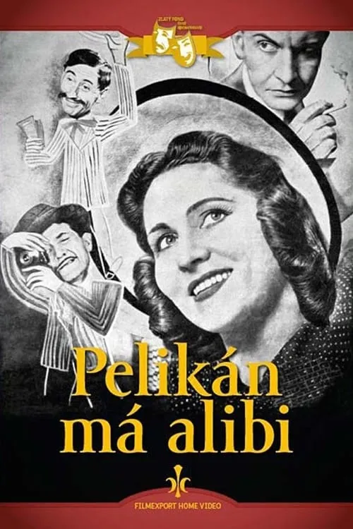 Pelikán má alibi (movie)