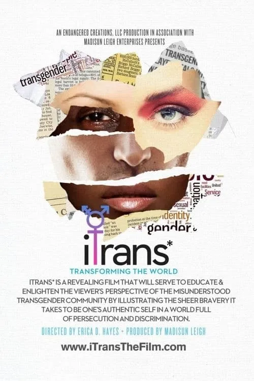 iTrans* (movie)