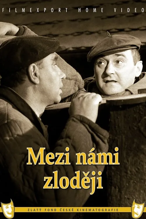 Mezi námi zloději (фильм)