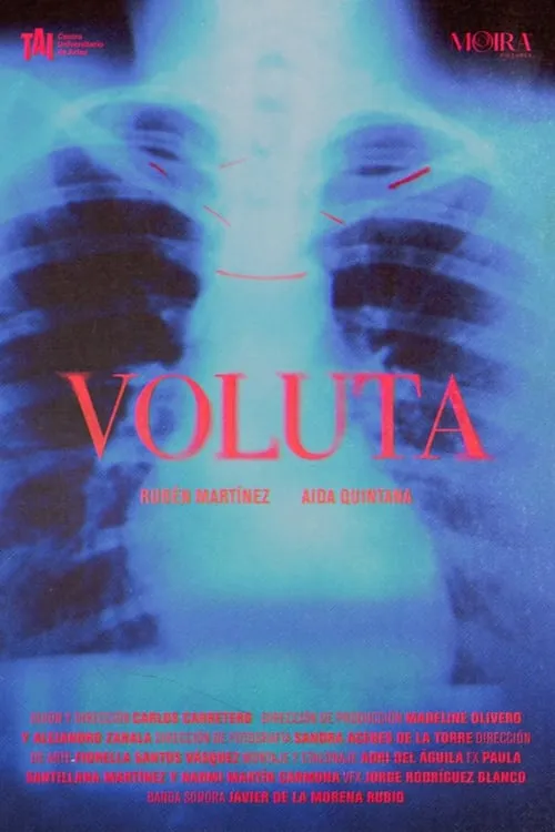 Voluta