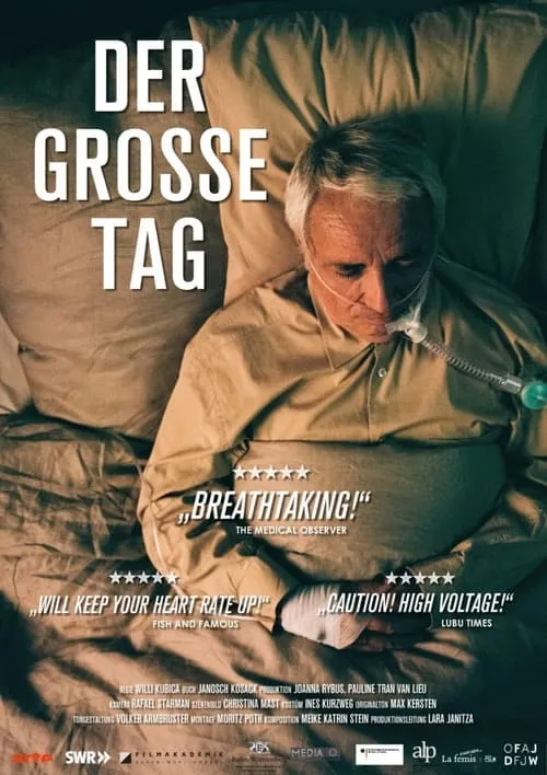 Der große Tag (movie)