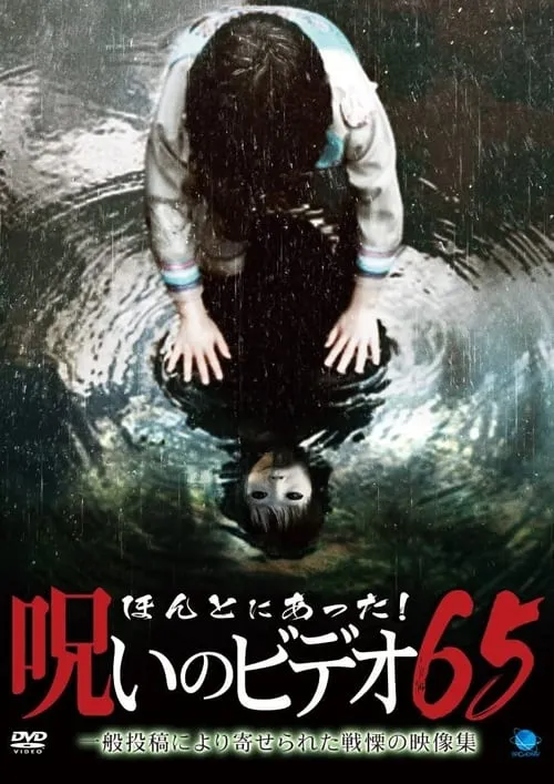 Honto Ni Atta! Noroi No Video 65 (movie)