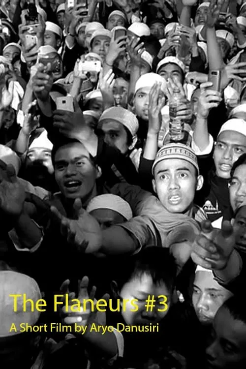 The Flaneurs #3 (movie)