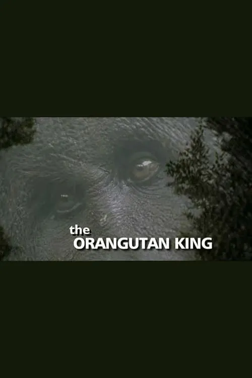 The Orangutan King (movie)