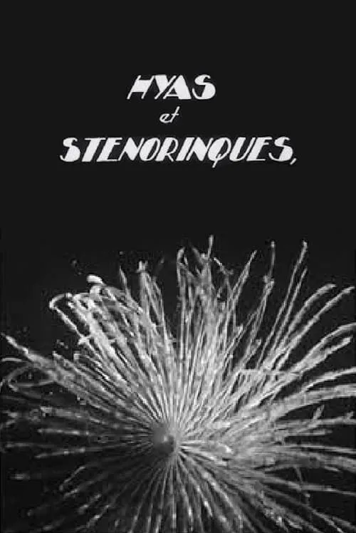 Hyas and Stenorhynchus (movie)