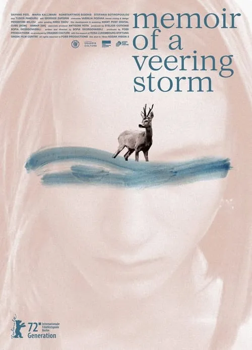 Memoir of a Veering Storm (фильм)