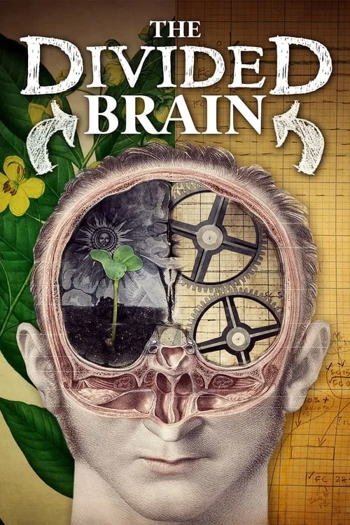 The Divided Brain (movie)