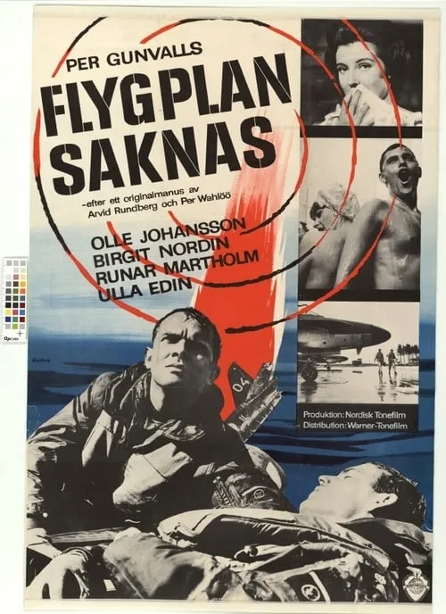 Flygplan saknas (фильм)