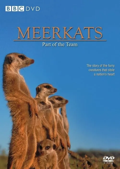 Meerkats: Part of the Team (movie)