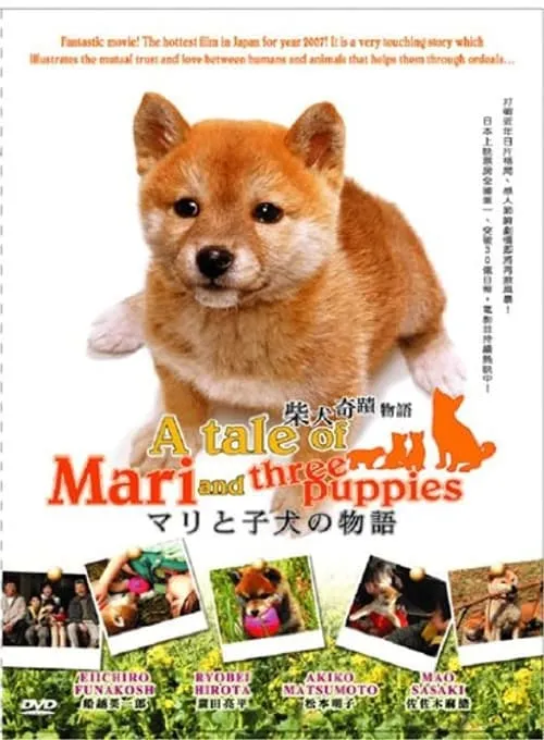 A Tale of Mari and Three Puppies (movie)