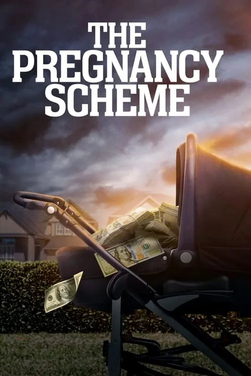 The Pregnancy Scheme (movie)