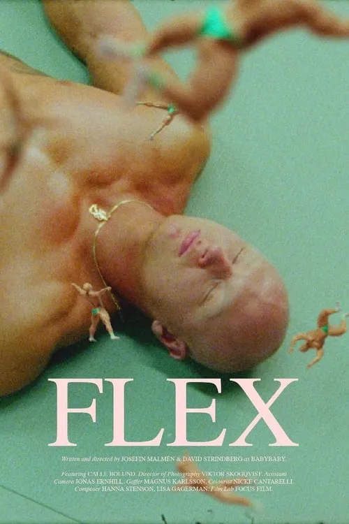 Flex (movie)