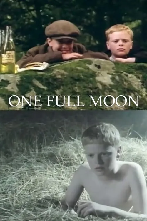 One Full Moon (movie)