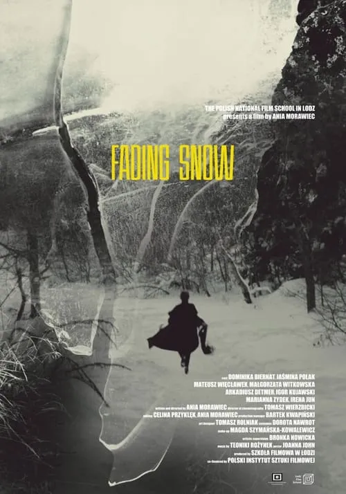 Fading Snow (movie)