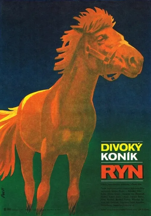 Divoký koník Ryn (movie)