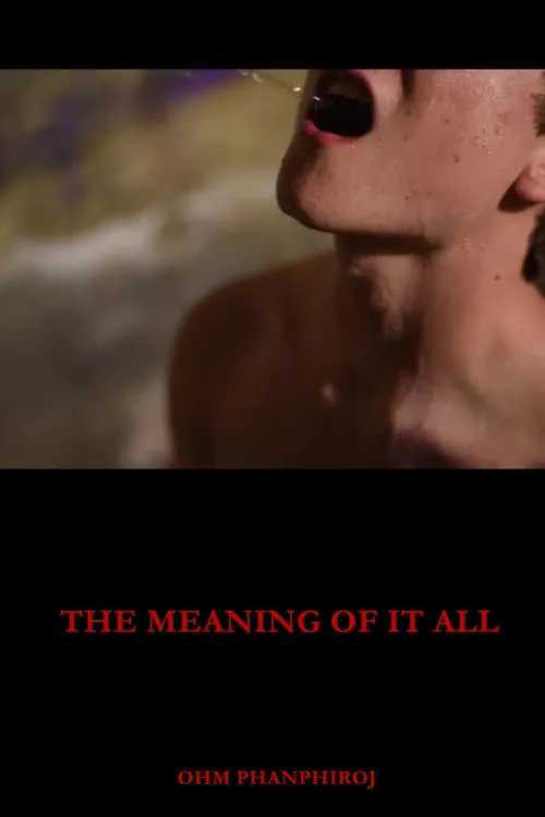 The Meaning of It All (movie)