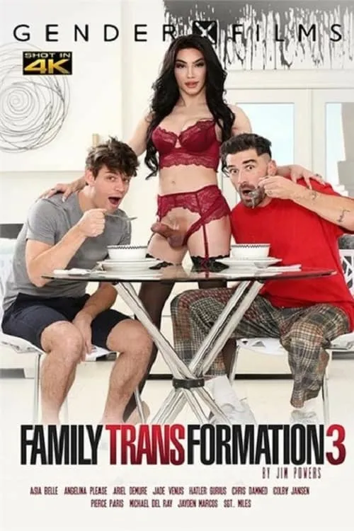 Family Transformation 3 (movie)