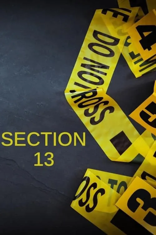 Section 13 (series)